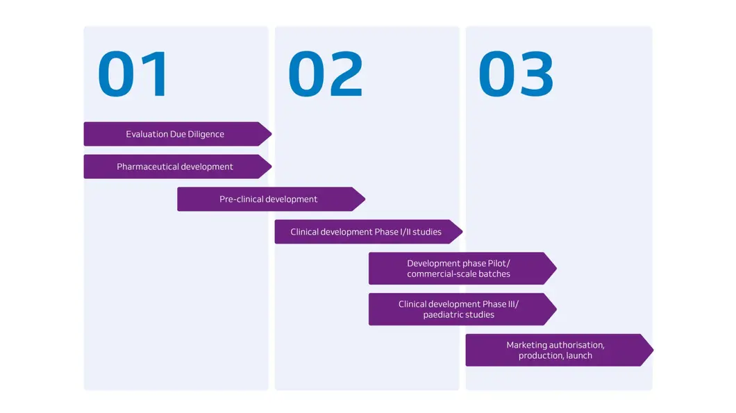 Infographic process steps development